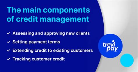 What Is Credit Management And Why It Matters Trevipay
