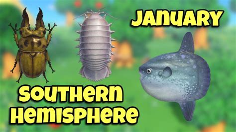 All New Southern Hemisphere Fish Bugs And Sea Creatures In January