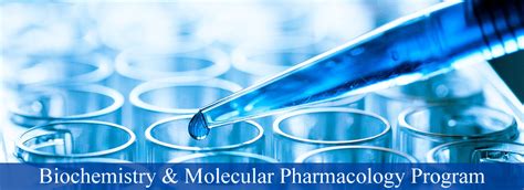 Biochemistry And Molecular Pharmacology Program Overview At The Graduate