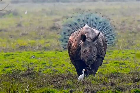 Amo images, animals are so cute and funny. Las 10 fotos más divertidas del mundo animal - National ...