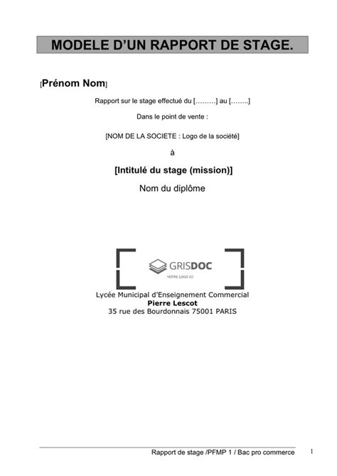 Rapport De Stage Exemple PDF