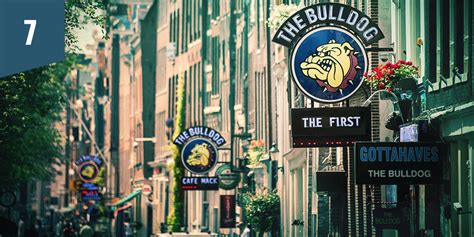 The bulldog is actually the very first coffeeshop and until today, the only one with its original founders and but why did he use the term coffeeshop, while 'coffee' is not what most visitors come for? Smoothies Bulldog Coffeeshop / 14 Best Coffeeshops In ...