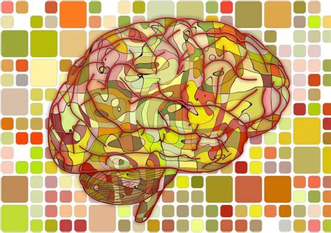 A New Switch To Boost Memory Neuroscience News
