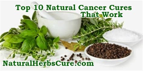 Top 10 Natural Cures Home Remedies For Cancer Effective Herbal