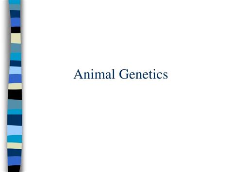 Ppt Animal Genetics Powerpoint Presentation Free Download Id5175552