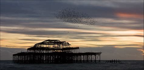 Starlings Over West Pier Brighton A Much Photographed Sp Flickr