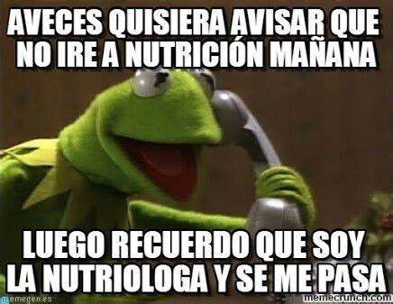 Explore and learn everything about nutrias, download nutria wallpapers and nutria coloring pages. #humor #nutricion #dieta #nutriologa #nutricionista | Soy Nutrióloga | Pinterest | Humor