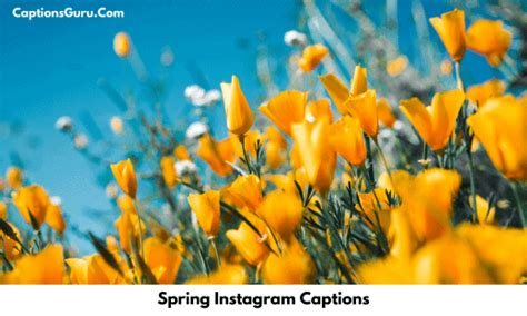 Spring Instagram Captions 140 Perfect Captions About Spring
