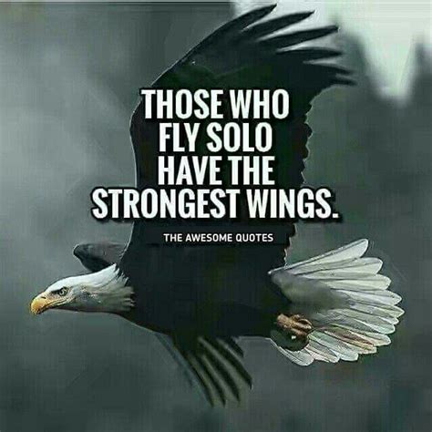 Pin By Anita Khan On Words Of Wisdom Bald Eagle Best Quotes Quotes