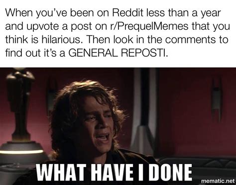 What Have I Done Rprequelmemes