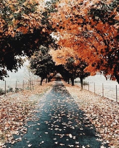 Pin By Kait Gesell On Fall Szn Fall Wallpaper Fall Pictures Autumn