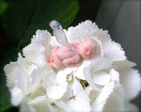 Baby Fairies Pictures Bing Images Ooak Fairy Baby Fairy Fairy