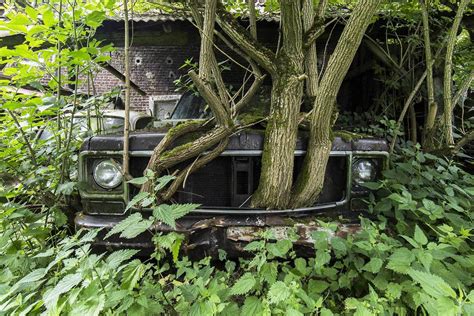 What abandoned place are you? Naturalia: The Beauty of Nature Reclaiming Its Rights ...