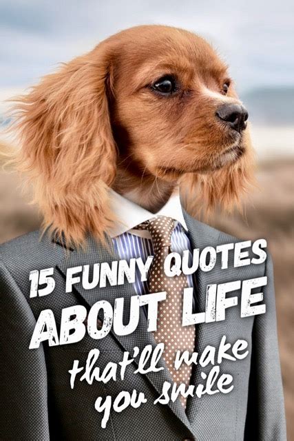 15 Funny Quotes About Life Thatll Make You Smile Roy Sutton
