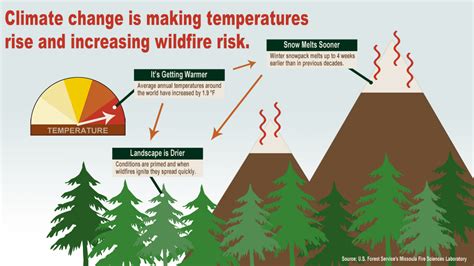 Forest Fires Infographic