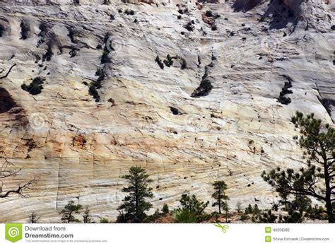 Detail Cross Current Layers Of Colored Sandstone Stock Photo Image