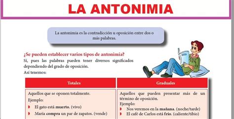 120 Ejemplos De Antónimos Graduales Complementarios Y Recíprocos