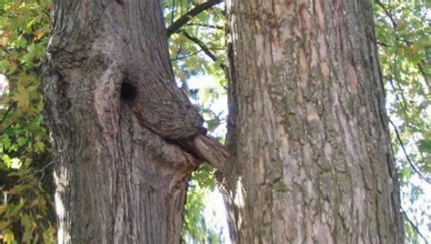 21 Sex In Nature Pics Funny Gallery Ebaums World