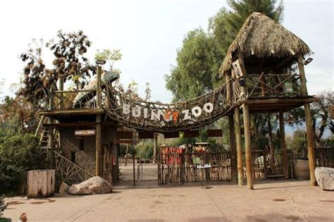 Paseo a buin zoo realizado el viernes 19 de noviembre. Foto de Buin Zoo, Buín: Entrada - Tripadvisor