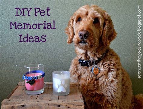 For many of us, our pets are members of the family. Spencer the Goldendoodle: Pet Memorial Book, DIY, Paying it Forward