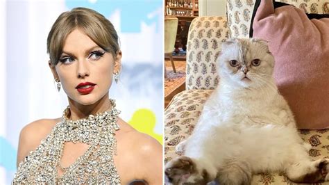Taylor Swift E La Sua Gatta Multimilionaria Perfino Olivia Benson è Più Ricca Di Noi