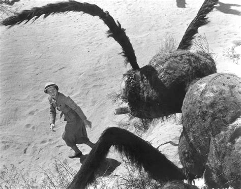 Add them to one of your lists below, or create a new one. Family Flicks Film Series: Them! | Hammer Museum