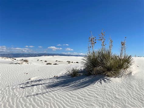 One Day In White Sands National Park Seen By Amy