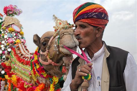 Bikaner Camel Festival In Rajasthan India