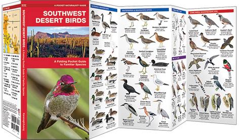 Southwest Desert Birds Pocket Naturalist Guide