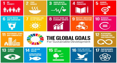 Year One of the Sustainable Development Goals - Jane Goodall's Good for ...