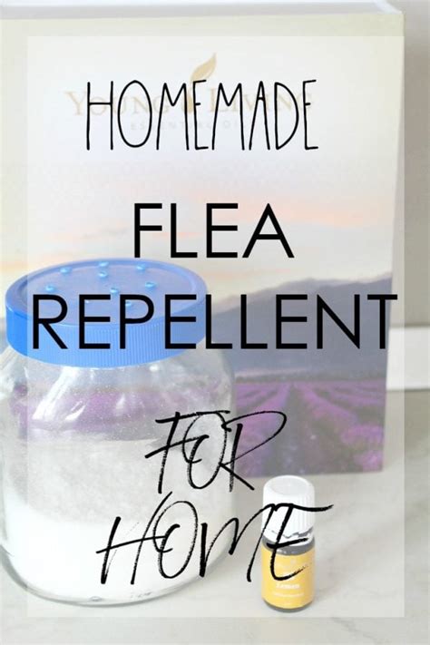 Natural Flea Repellent For Home Easy Peasy Creative Ideas