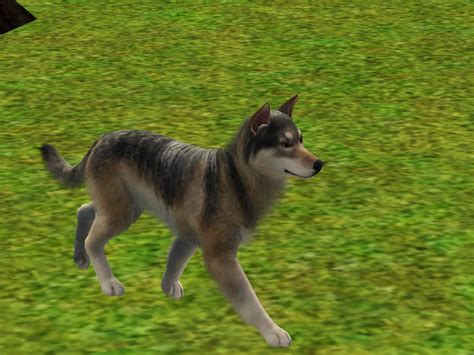 Mod The Sims Sims 3 Wolf Legacy Challenge