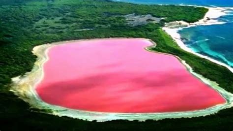 El Misterioso Lago Rosa De La Isla Middle Australia Requisitos Para