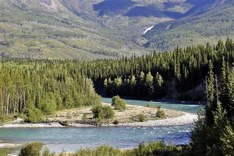 Landscape With River And Forest In Yukon Territory Canada Image Free
