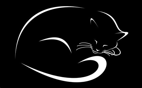 Fondos De Pantalla Ilustración Gato Monocromo Logo Dibujos