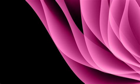 Abstract Pink Curve Wave Overlap On Black With Blank Space Background