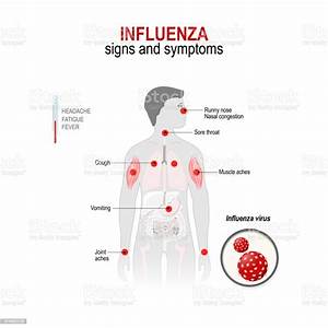 Influenza Signs And Common Symptoms Stock Illustration - Download Image Now - iStock Influenza  