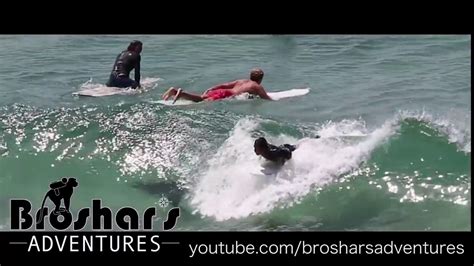 A Shark Decided To Join Surfers At The Pass In Byron Bay Australia