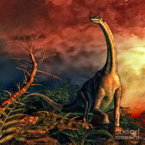 Jobaria Was A Sauropod Dinosaur That Digital Art By Philip Brownlow