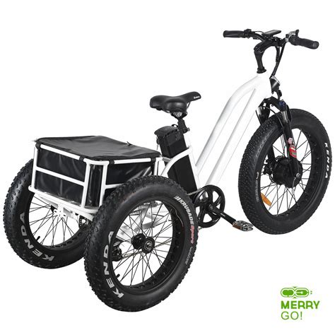 500 Watts 3 Wheels Fat Tire Electric Trike For Elderly China Electric