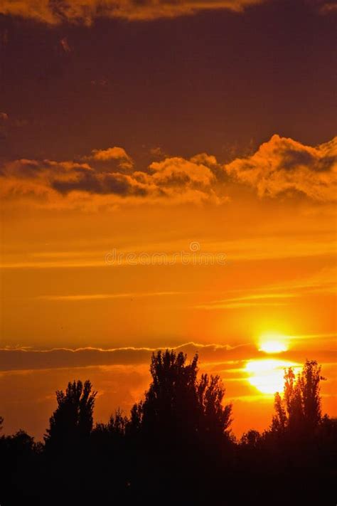 Orange Cloudy Sunset Stock Image Image Of Black Vegetation 105063957