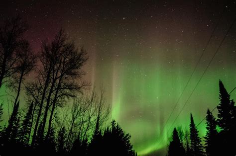 The Northern Lights Were Spectacular Last Night Creators