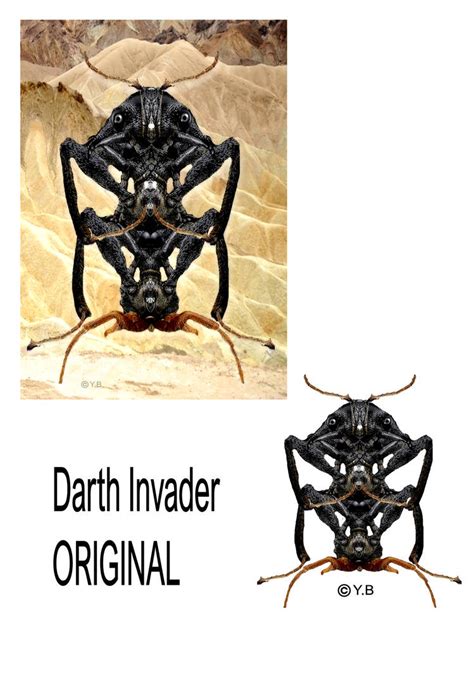Darth Invader 1 By Salem1960 On Deviantart