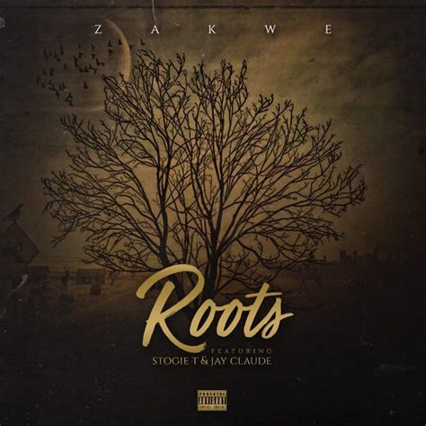 Zakwe Roots Lyrics Genius Lyrics