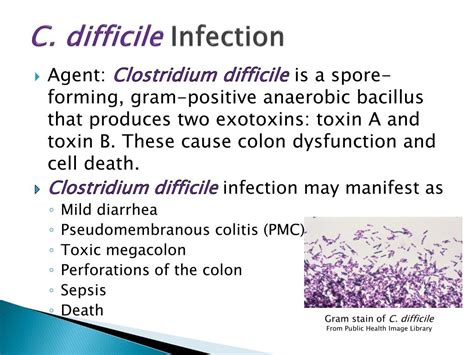 Ppt Control Of Clostridium Difficile Powerpoint Presentation Free