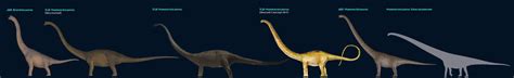 48 Hilarious Mamenchisaurus Puns Punstoppable 🛑