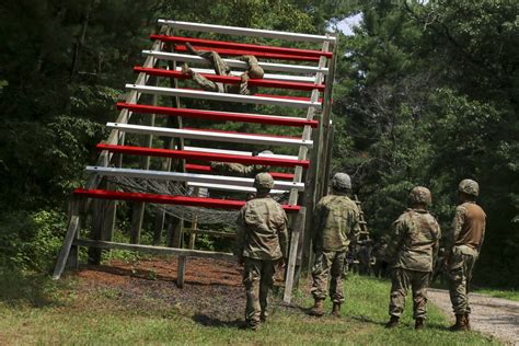 Dvids Images Sapper Confidence Course Image 6 Of 20