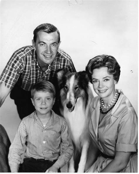 Viewers Watched Provost Grow Up On The Set Of Lassie Alte Filme Fernsehserie