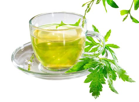 Erva Luisa Para Que Serve