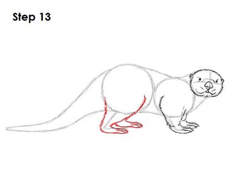 Sea Otter Drawing 13 Easy Animal Drawings Easy Drawings Sketches Easy